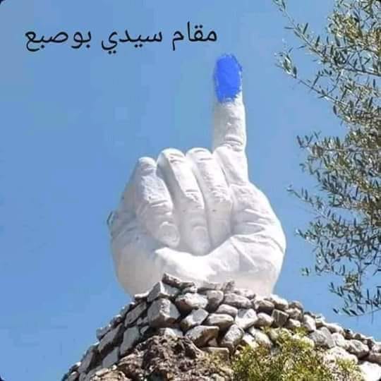 كيف فشلت الجزائر في تنظيم انتخابات نزيهة تستجيب لتطلعات الشعب